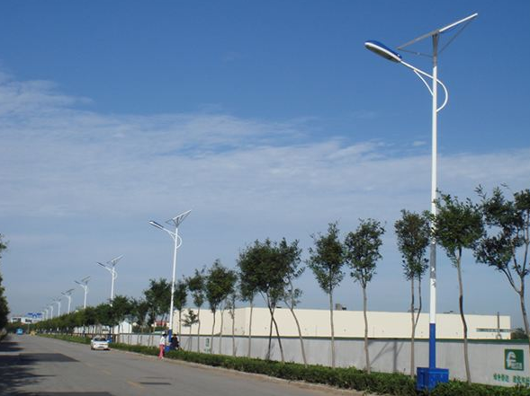 太陽(yáng)能路燈廠家.png